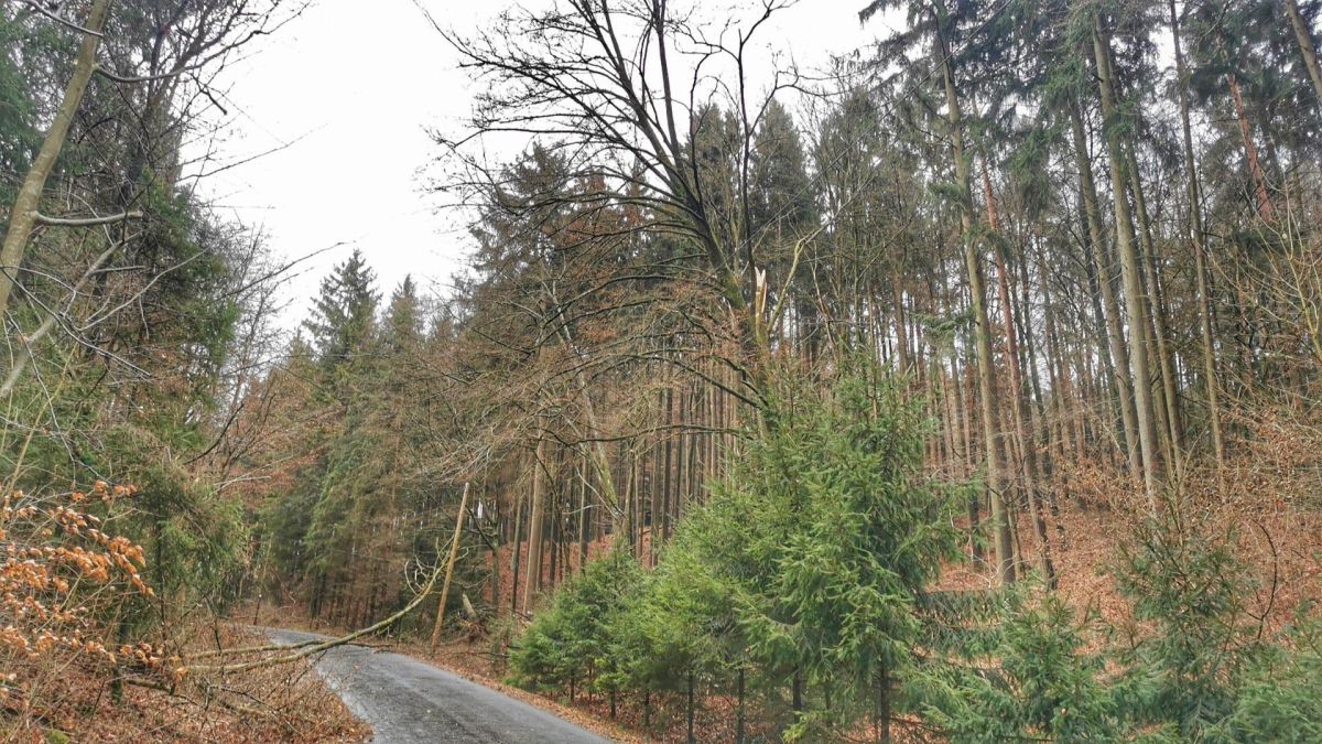 Technische Hilfeleistung