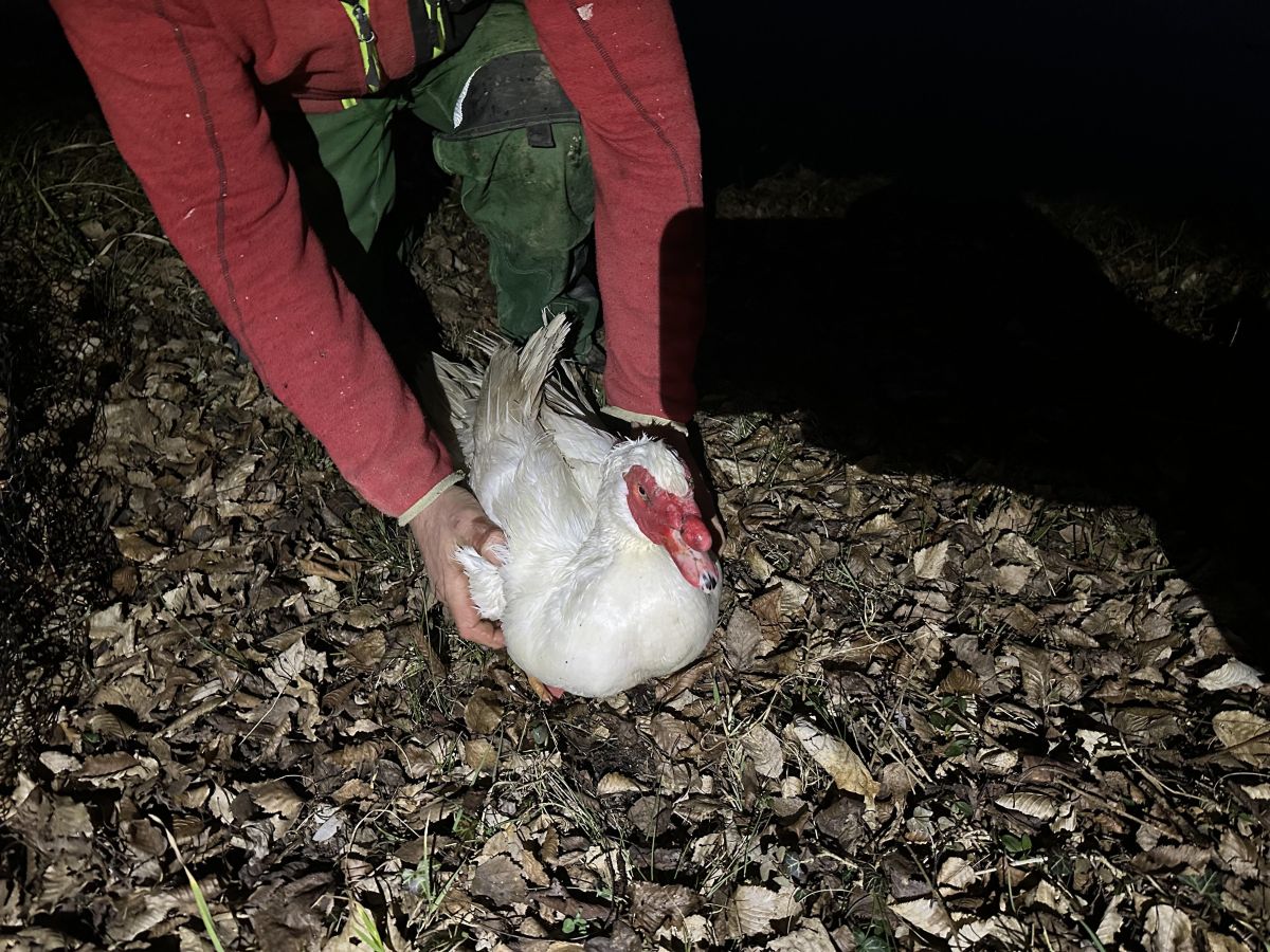 Technische Hilfeleistung