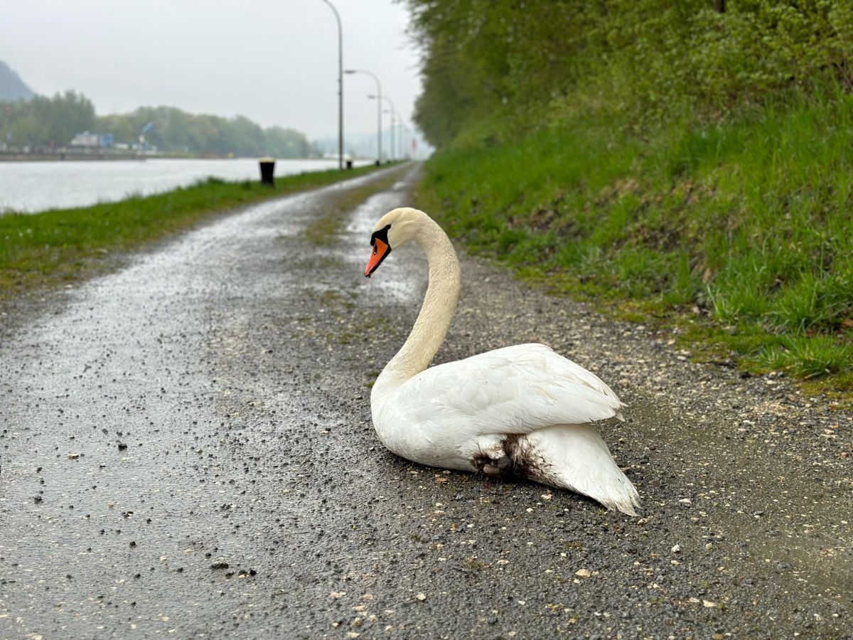 Technische Hilfeleistung